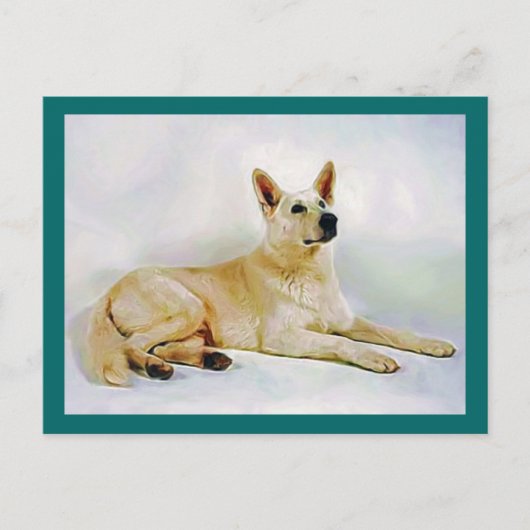 White German Shepherd Postkarte (Vorderseite)
