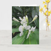 White Ginger Karte (Gelbe Blume)