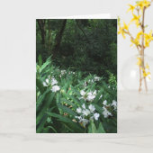 White Ginger Karte (Gelbe Blume)