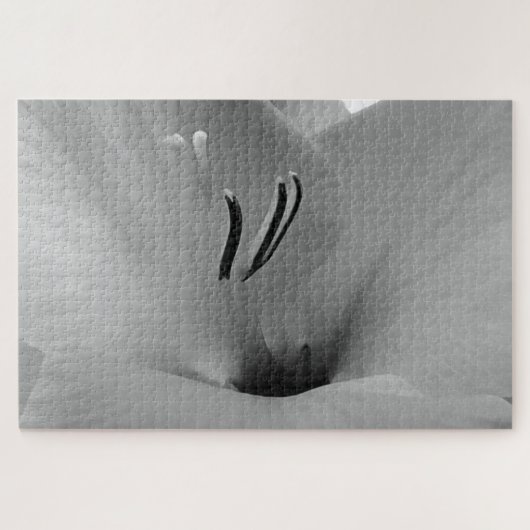 White Gladioli Puzzle (Horizontal)