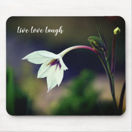 White Gladiolus Garden Blume Motivierend Magnet Mousepad
