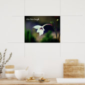 White Gladiolus Garden Blume Motivierend Poster (Küche)