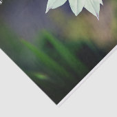 White Gladiolus Garden Blume Motivierend Seidenpapier (Ausschnitt)