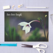 White Gladiolus Garden Blume Motivierend Seidenpapier (Handwerk)