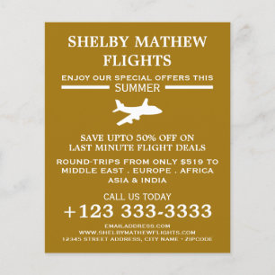 White & Gold Flugzeug Icon, Airline Advertising Fl Flyer