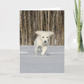 White Golden Retriever Puppy in Snow Karte (Vorderseite)