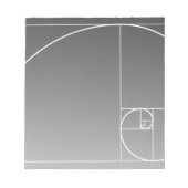 White Golden Spiral Notizblock (Vorderseite)