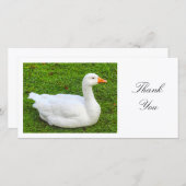 White Goose - Danke (Vorne/Hinten)