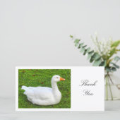 White Goose - Danke (Stehend Vorderseite)