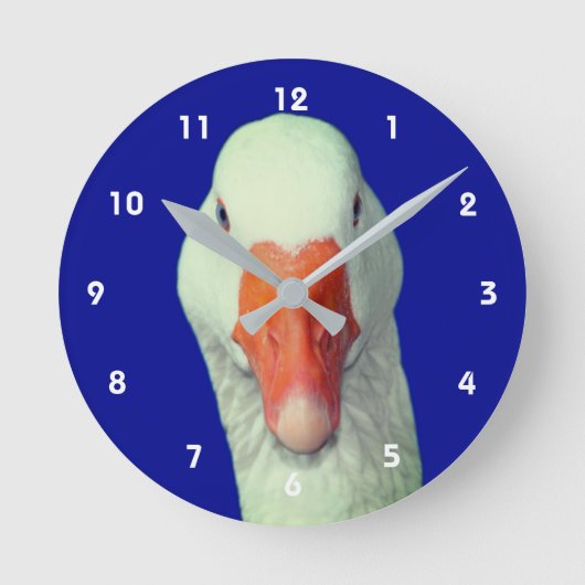 White Goose Face Cute Animal Runde Wanduhr (Vorderseite)