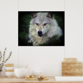 White Gray Wolf Wildlife Supporter Poster (Küche)