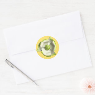 White Green Blossom Blume Summer Garden Wedding Runder Aufkleber