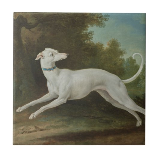 White Greyhound Dog (von Jean-Baptiste Oudry) Fliese (Vorderseite)