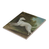 White Greyhound Dog (von Jean-Baptiste Oudry) Fliese (Seite)