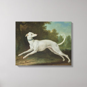 White Greyhound Dog (von Jean-Baptiste Oudry) Leinwanddruck