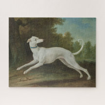 White Greyhound Dog (von Jean-Baptiste Oudry)