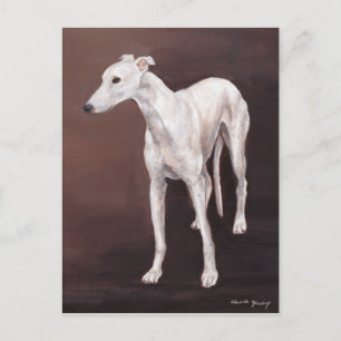 White Greyhound Hund Art Postcard Postkarte