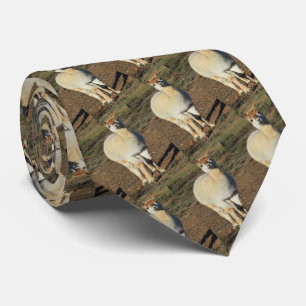 White Happy Big Wooly Alpaca, Neck Tie Krawatte