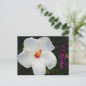 White Hawaii Hibiskus Postkarte (Stehend Vorderseite)