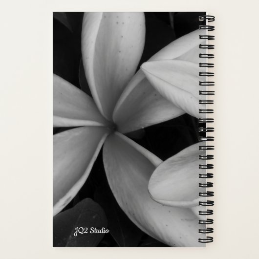 White Hawaiian Blume Foto Spiral Notebook Notizblock (Rückseite)