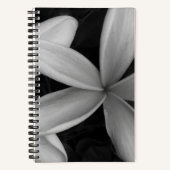 White Hawaiian Blume Foto Spiral Notebook Notizblock (Vorderseite)