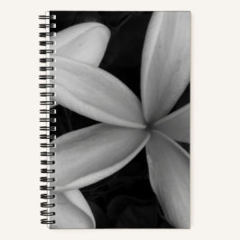 White Hawaiian Blume Foto Spiral Notebook Notizblock