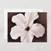White Hawaiian Hibiskus Sepia Tropical Blume Postkarte (Vorne/Hinten)