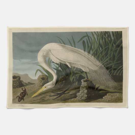 White Heron, Great Egret, Audubon Birds of America Geschirrtuch (Horizontal)