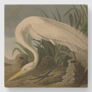 White Heron, Great Egret, Audubon Birds of America Steinuntersetzer