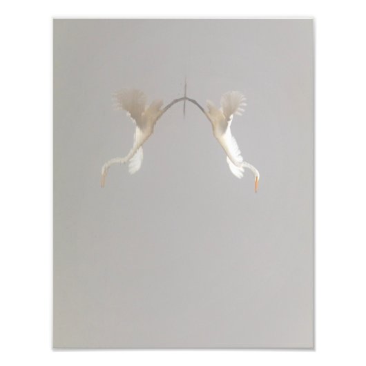 White Heron hebt Zen ab Fotodruck (Vorne)