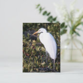 White Heron Postkarte (Stehend Vorderseite)
