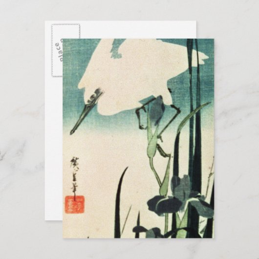White Heron und Iris Postkarte (Vorne/Hinten)