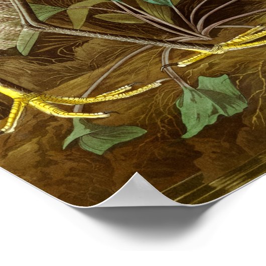 White Heron von John James Audubon Poster (Ecke)