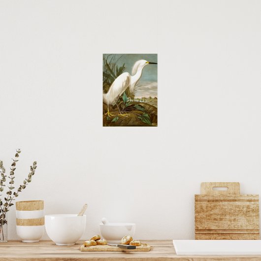 White Heron von John James Audubon Poster (Küche)