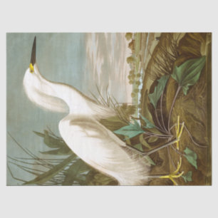 White Heron von John James Audubon Seidenpapier