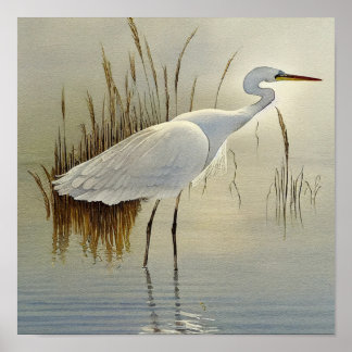White Heron Watercolour Painting Poster