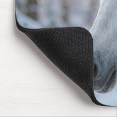 White Horse In Snowy Pine Tree Mousepad (Ecke)