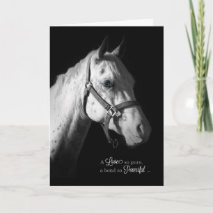 White Horse on Black Loss of a Horse Pet Sympathy Karte