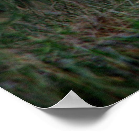 White Horse Poster (Ecke)