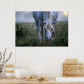 White Horse Poster (Küche)