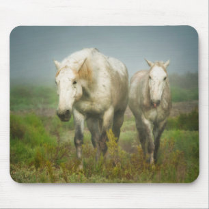 White Horses of Camargue in Field Mousepad