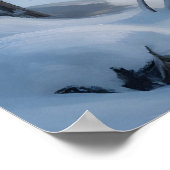 White Horses Under Aurora Borealis in Winter Fores Poster (Ecke)