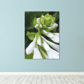 White Hosta Canvas Print Leinwanddruck (Insitu (Holzboden))