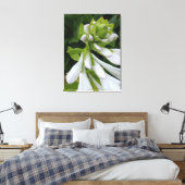 White Hosta Canvas Print Leinwanddruck (Insitu (Schlafzimmer))