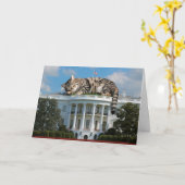 White House Giant Tabby Karte (Gelbe Blume)