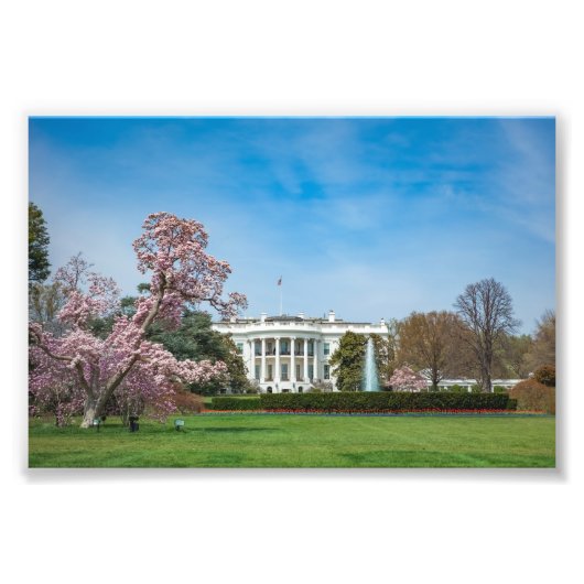 White House in Spring Fotodruck (Vorne)