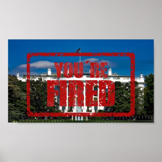White House Sie sind ein Party des verbrannten Ein Poster (Vorne)
