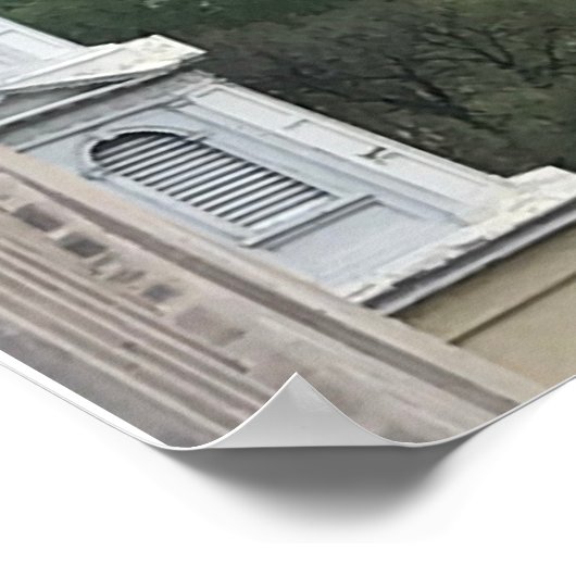 White House Washington DC Poster (Ecke)