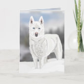 White Husky Blank Gruß Karte (Vorderseite)