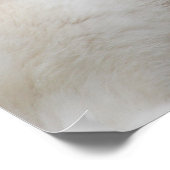 White Husky Dog Schöne Fotografie Poster (Ecke)